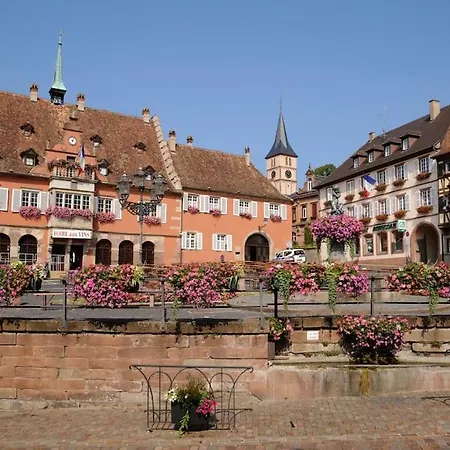Atypique En Plein Centre * Obernai
