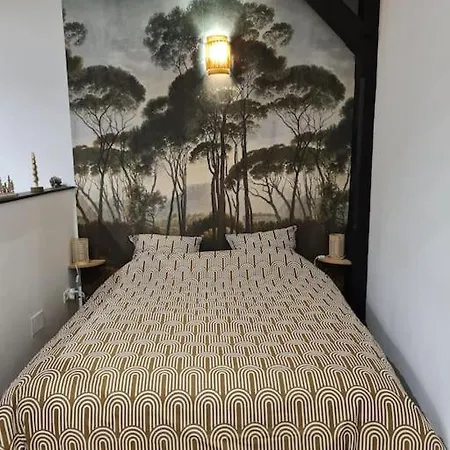 Apartamento Atypique En Plein Centre *