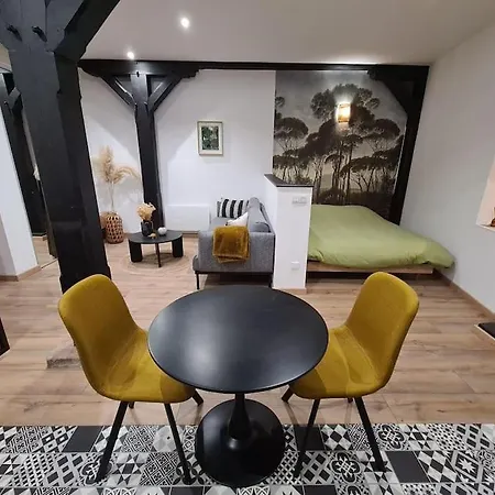 Apartamento Atypique En Plein Centre *