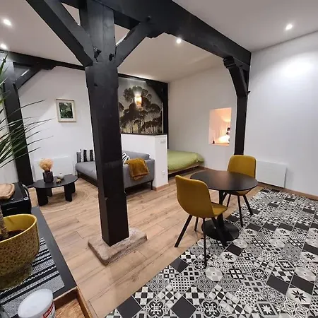 Apartamento Atypique En Plein Centre