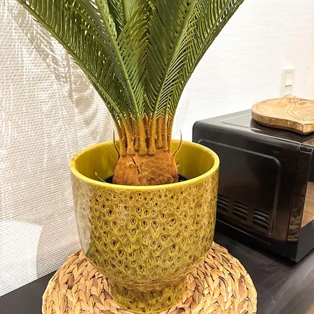 L'alcove - Centre-ville - Moderne & Cosy - Commerces A Proximite Apartament *