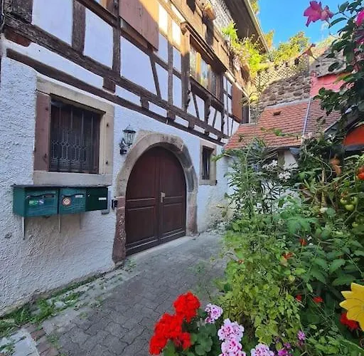 L'alcove - Centre-ville - Moderne & Cosy - Commerces A Proximite 公寓 *