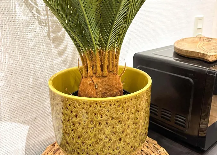 L'alcove - Centre-ville - Moderne & Cosy - Commerces A Proximite 公寓 *